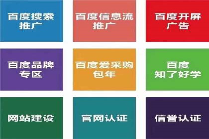 行业领先！专业SEM托管的成功实践案例